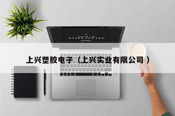 上興塑膠電子（上興實業(yè)有限公司 ）