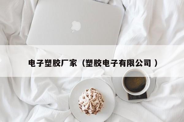 電子塑膠廠(chǎng)家（塑膠電子有限公司 ）